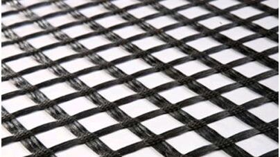 �����w�S�������