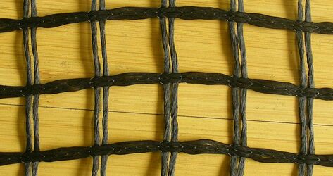 �����w�S�������